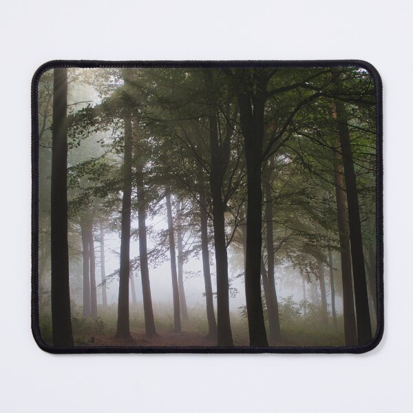 Item preview, Autumn at Danefield Woods designed and sold by James Elkington.