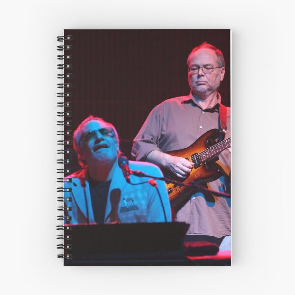 Artikelvorschau, Donald Fagen und Walter Becker – Foto entworfen und verkauft von ConcertImages.