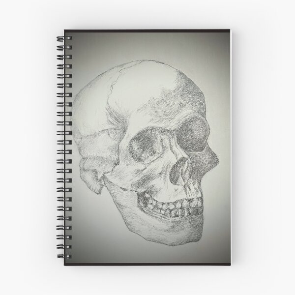 Item preview, Human Skull designed and sold by DoroStac.