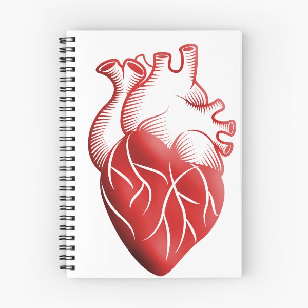 Item preview, Copy of Copy of Anatomy of the heart  designed and sold by Boby Karnlen.