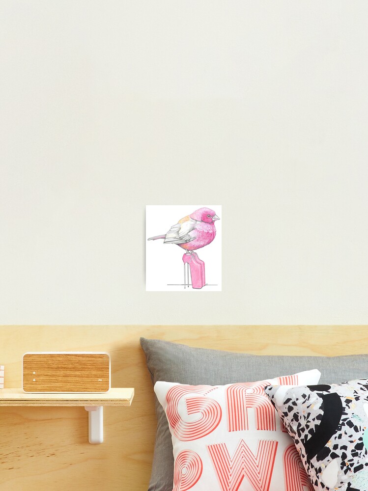 Thumbnail 2 of 3, Photographic Print, Firefinch in Very High Heels designed and sold by JimsBirds.