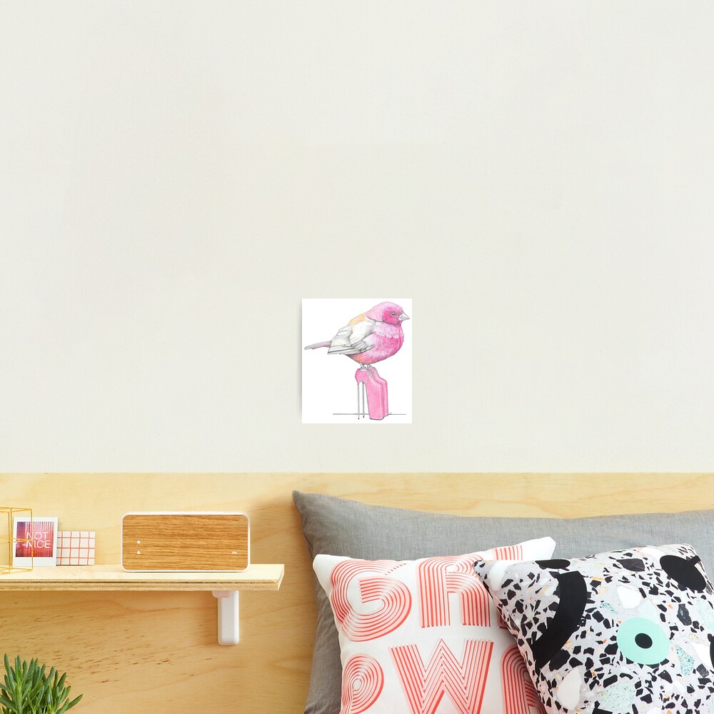 Item preview, Photographic Print designed and sold by JimsBirds.