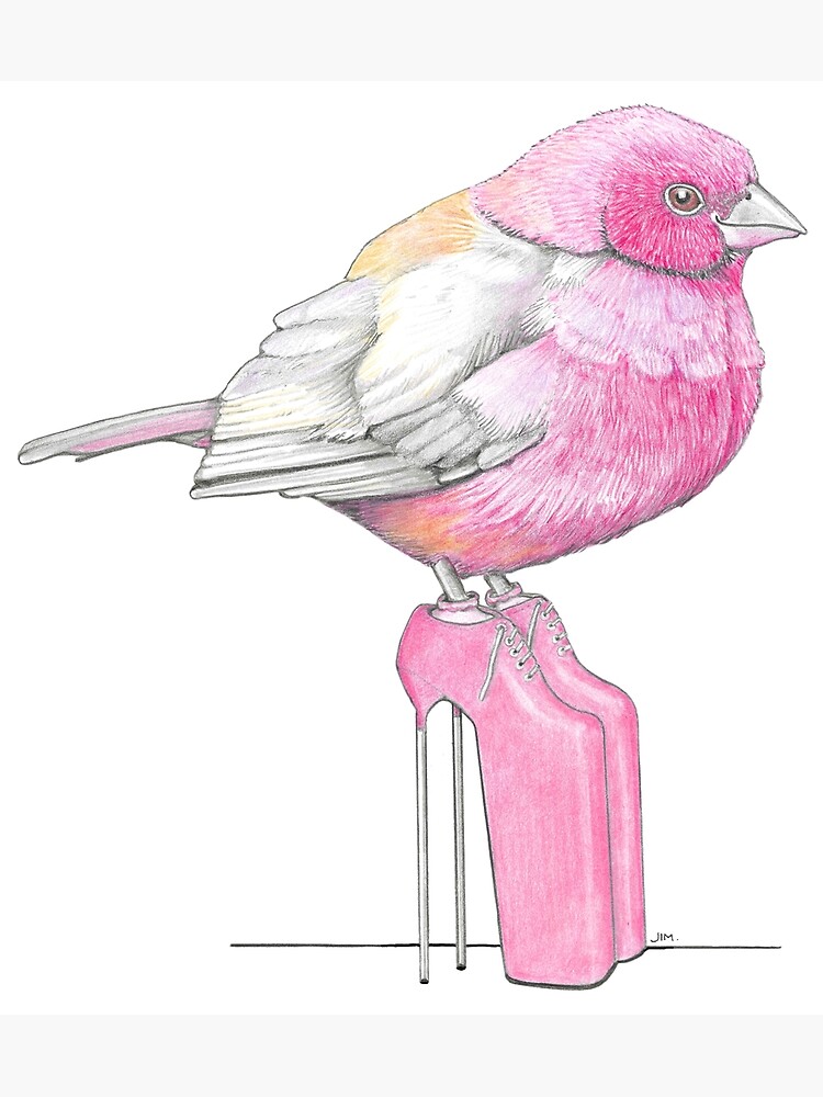 Thumbnail 3 of 3, Poster, Firefinch in Very High Heels designed and sold by JimsBirds.