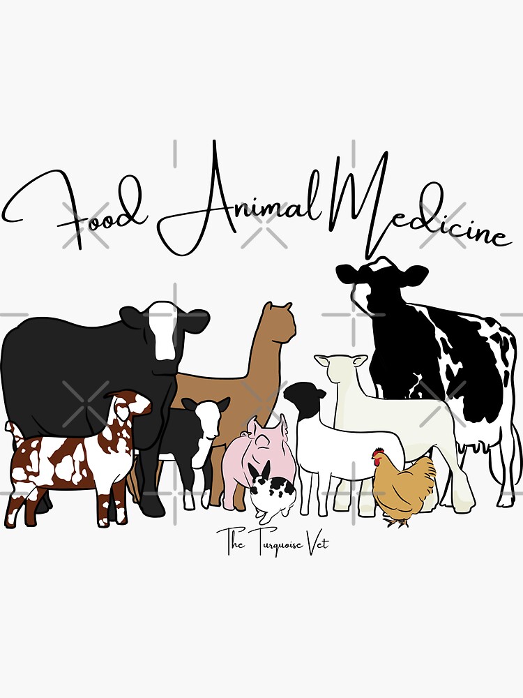 Thumbnail 3 of 3, Sticker, Food Animal Medicine designed and sold by TheTurquoiseVet.