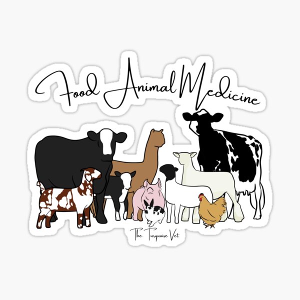 Vista previa del artículo con la obra «Alimentos Medicina Animal», diseñado y vendido por TheTurquoiseVet.
