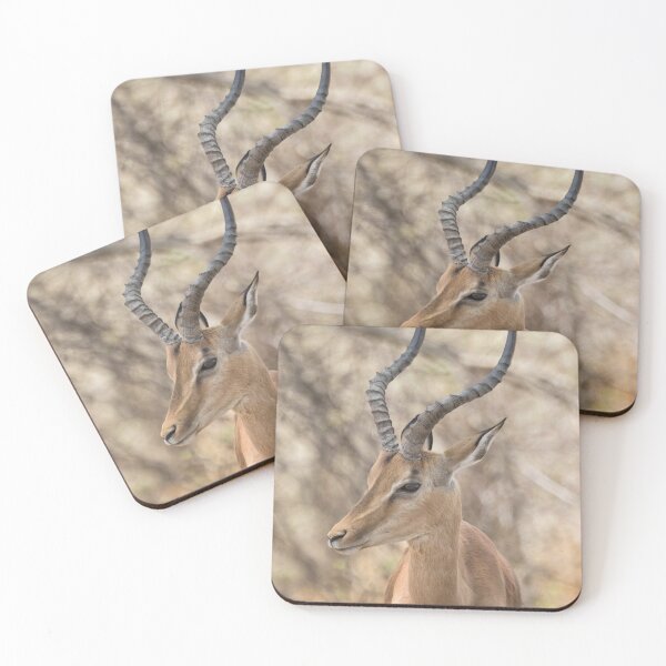 Item preview, Common Impala Head and Horn Shot designed and sold by Belinda Greb Photography.