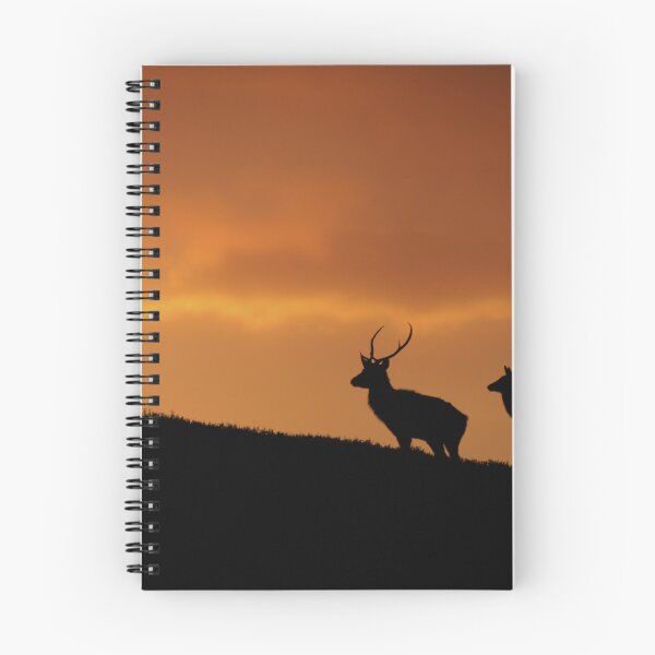 Item preview, Strathglass Silhouettes designed and sold by Macrae images.