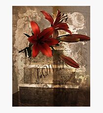 The Language of Flowers Photographic Print