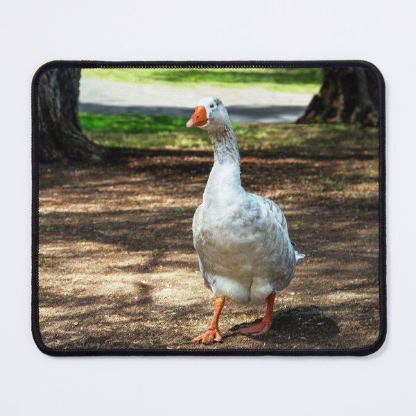 Item preview, Walking to the Lake designed and sold by heatherfriedman.