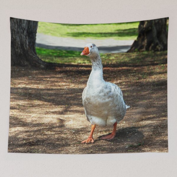 Item preview, Walking to the Lake  designed and sold by heatherfriedman.