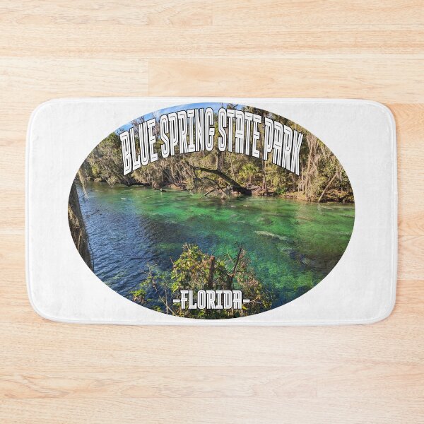 Item preview, Blue Spring State Park, Florida designed and sold by stermitkermit.