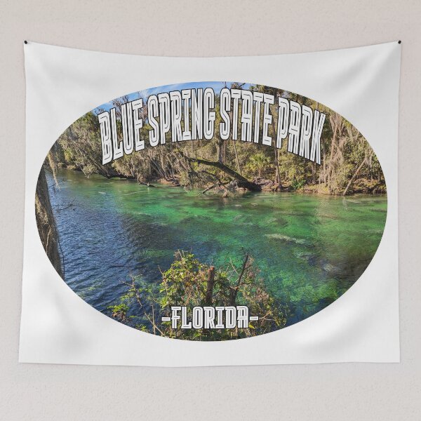 Item preview, Blue Spring State Park, Florida designed and sold by stermitkermit.