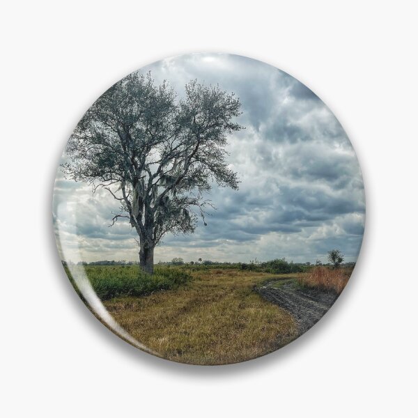 Item preview, Kissimmee Prairie Preserve designed and sold by Jason Tompkins.