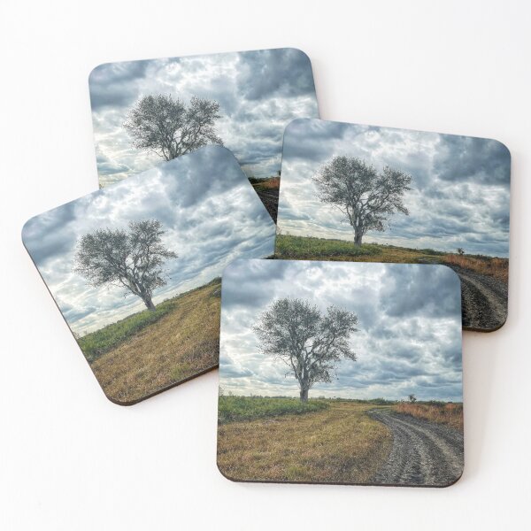 Item preview, Kissimmee Prairie Preserve designed and sold by Jason Tompkins.
