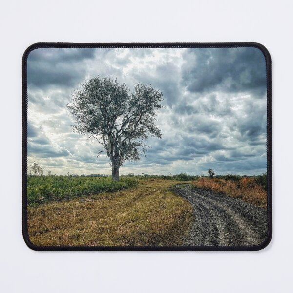 Item preview, Kissimmee Prairie Preserve designed and sold by Jason Tompkins.