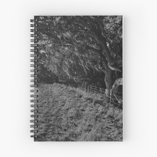 Item preview, River Ranch designed and sold by Jason Tompkins.