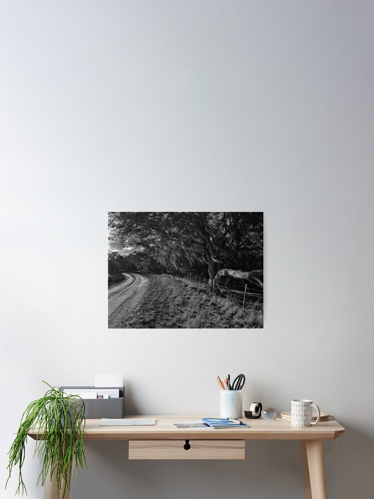 Thumbnail 2 of 3, Poster, River Ranch designed and sold by Beardeaux.