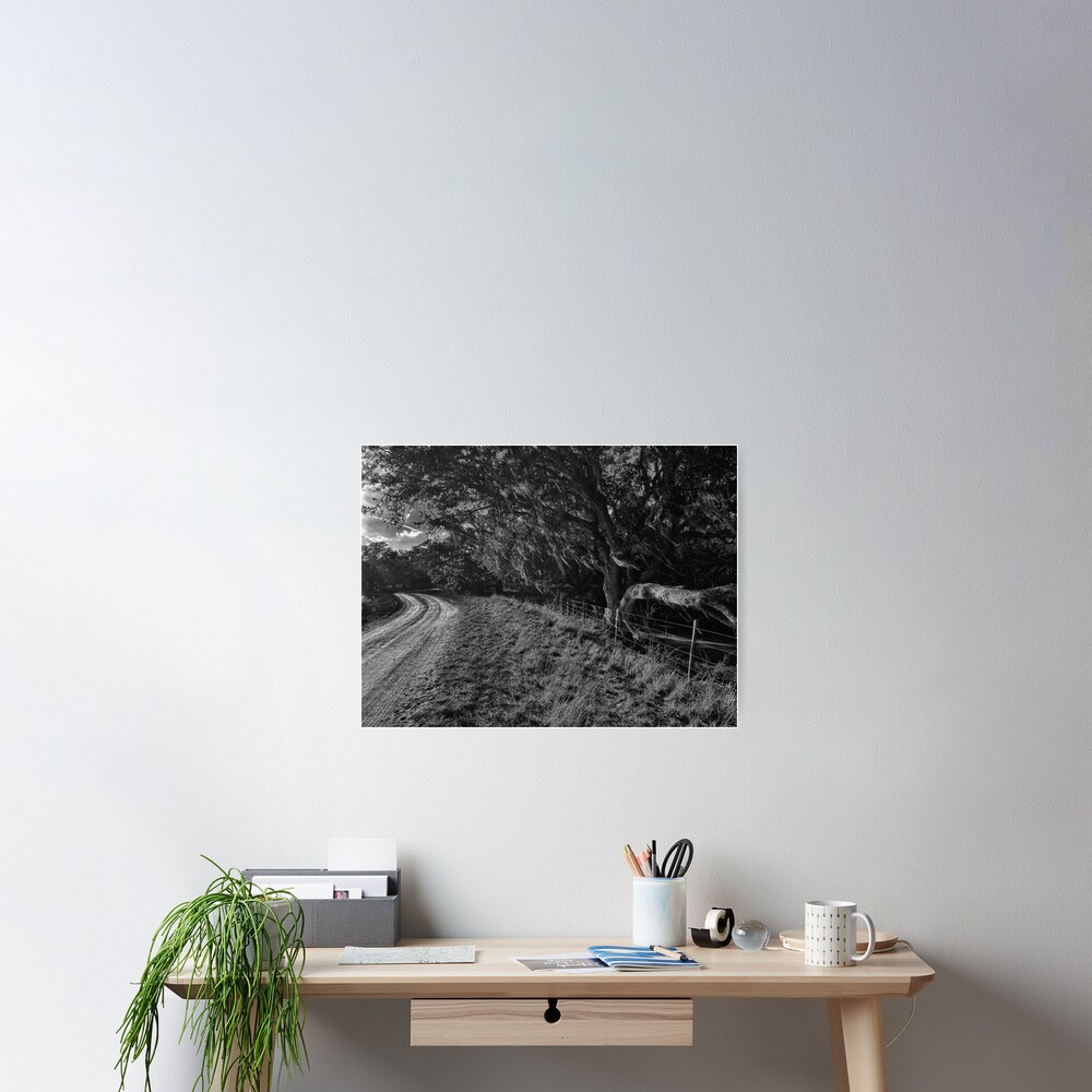 Item preview, Poster designed and sold by Beardeaux.