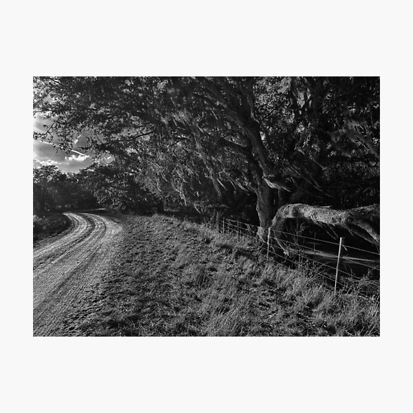 Item preview, River Ranch designed and sold by Jason Tompkins.
