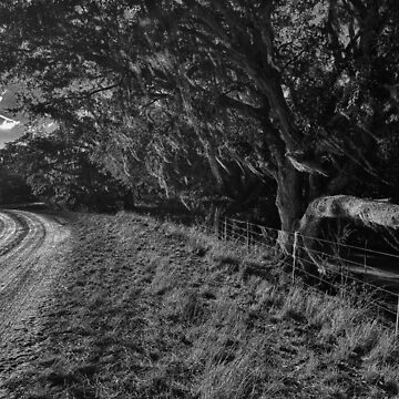 Artwork thumbnail, River Ranch by Jason Tompkins
