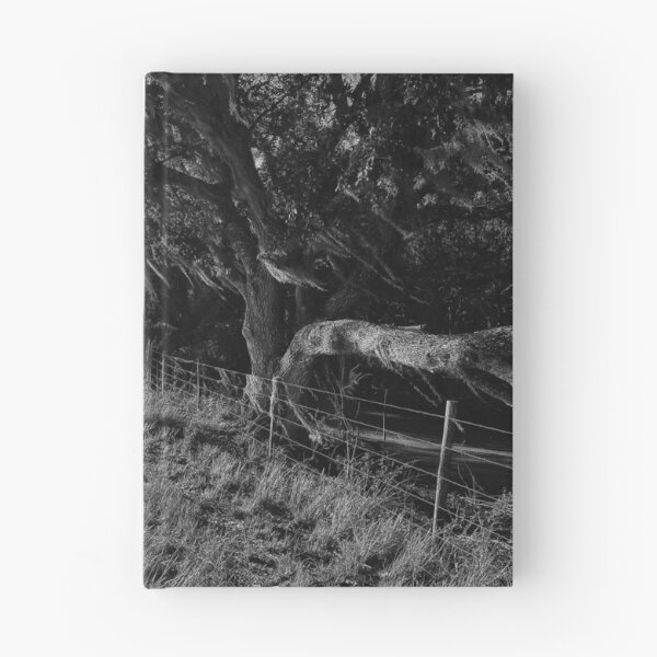 Item preview, River Ranch designed and sold by Jason Tompkins.