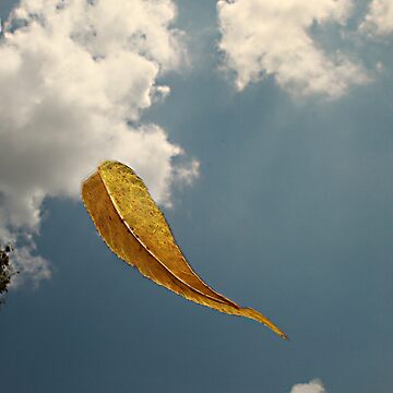 Artwork thumbnail, Falling... by believer9