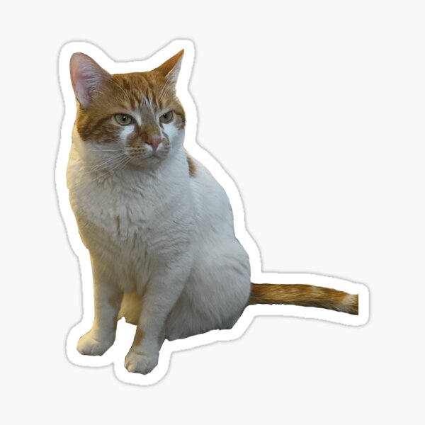 Cute Cat Reaction Stickers for Sale