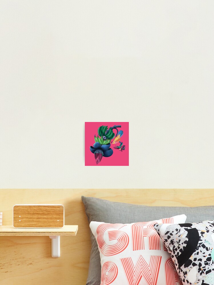 Thumbnail 2 of 3, Photographic Print, Banana flower & bird designed and sold by istolar.