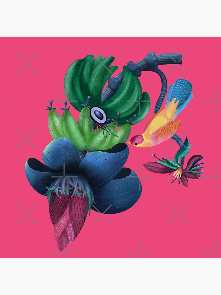 Thumbnail 3 of 3, Photographic Print, Banana flower & bird designed and sold by istolar.