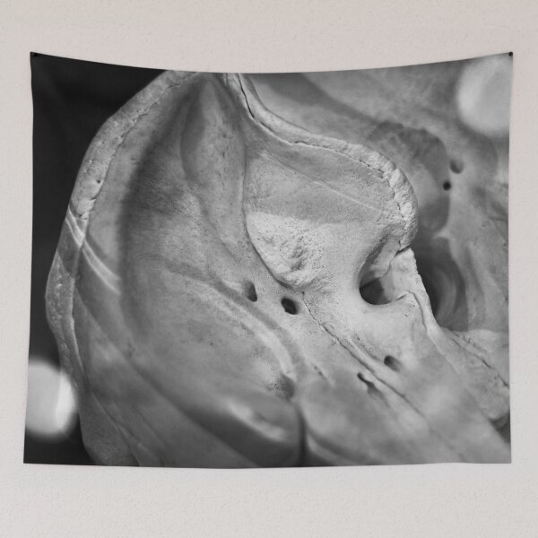 Item preview, SKULL 005 - Abstract Photo designed and sold by SageFolio.