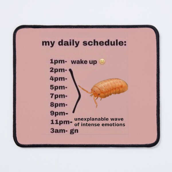 Item preview, roly poly daily schedule isopod designed and sold by staticc.