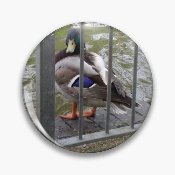 Item preview, #320 |☼| Duck Look (Jephson Gardens) designed and sold by Naean H.F. (Nez Man).
