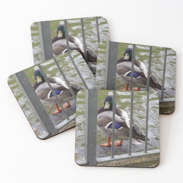 Item preview, #320 |☼| Duck Look (Jephson Gardens) designed and sold by Naean H.F. (Nez Man).