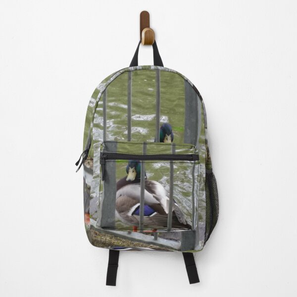 Item preview, #320 |☼| Duck Look (Jephson Gardens) designed and sold by Naean H.F. (Nez Man).