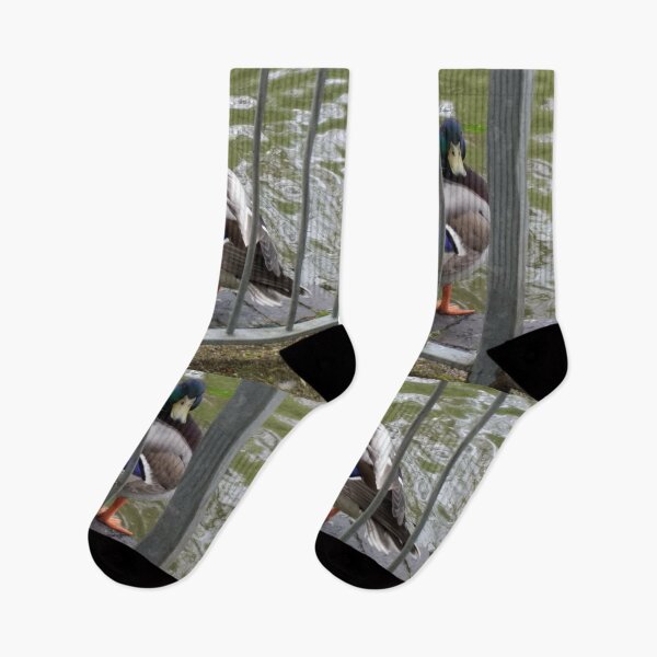Item preview, #320 |☼| Duck Look (Jephson Gardens) designed and sold by Naean H.F. (Nez Man).