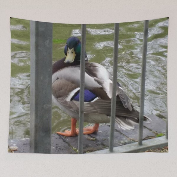 Item preview, #320 |☼| Duck Look (Jephson Gardens) designed and sold by Naean H.F. (Nez Man).