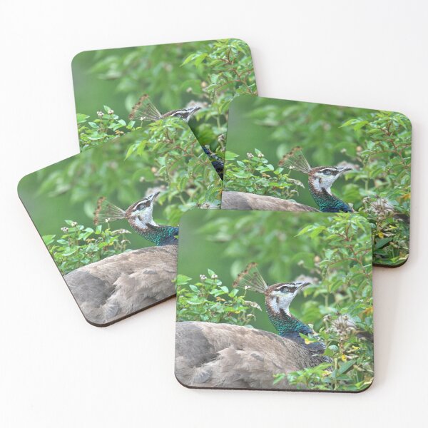Item preview, Sleeping Peahen designed and sold by LJarts.