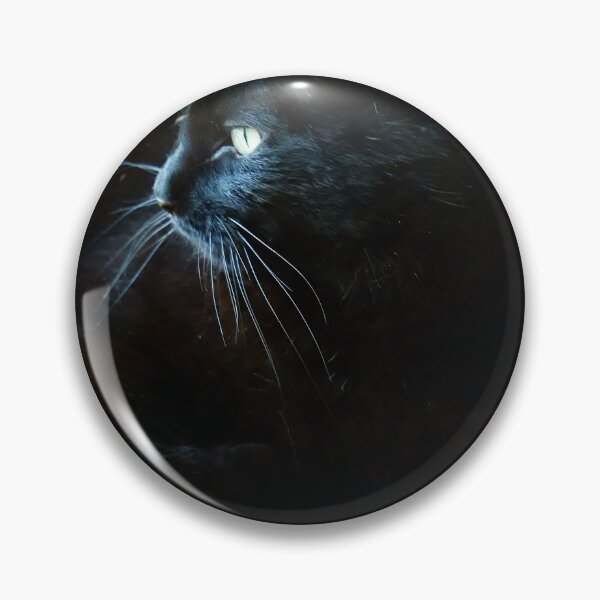 Item preview, Black Cat Lounging Against a Yellow Background designed and sold by Vivar Photo.