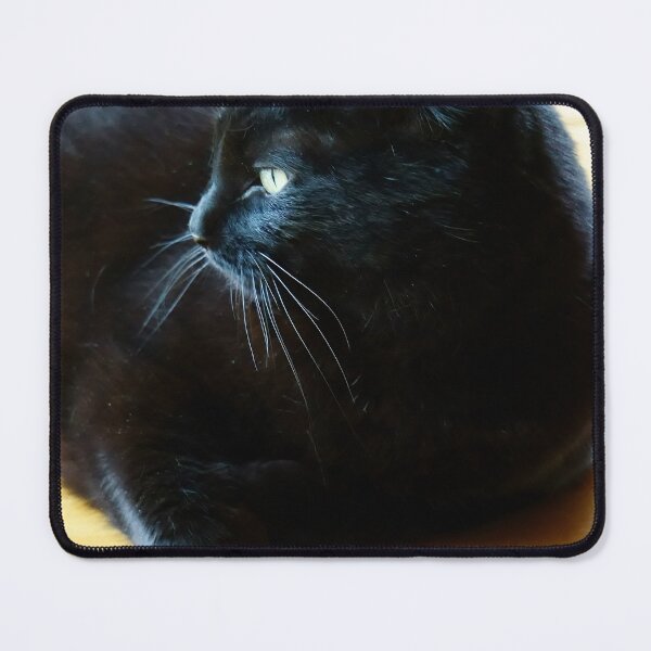 Item preview, Black Cat Lounging Against a Yellow Background designed and sold by Vivar Photo.
