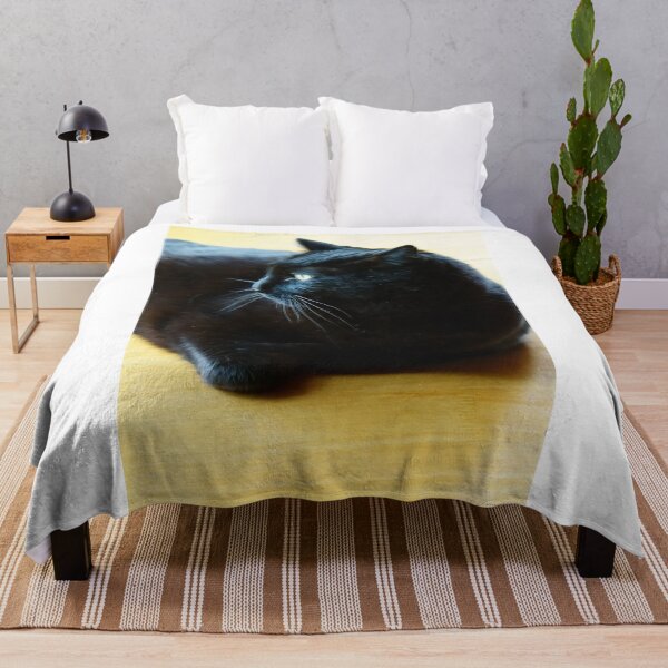 Item preview, Black Cat Lounging Against a Yellow Background designed and sold by Vivar Photo.