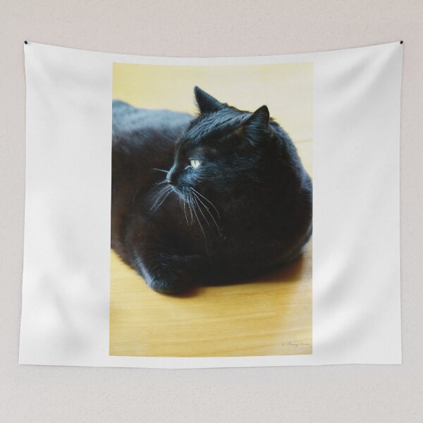 Item preview, Black Cat Lounging Against a Yellow Background designed and sold by Vivar Photo.
