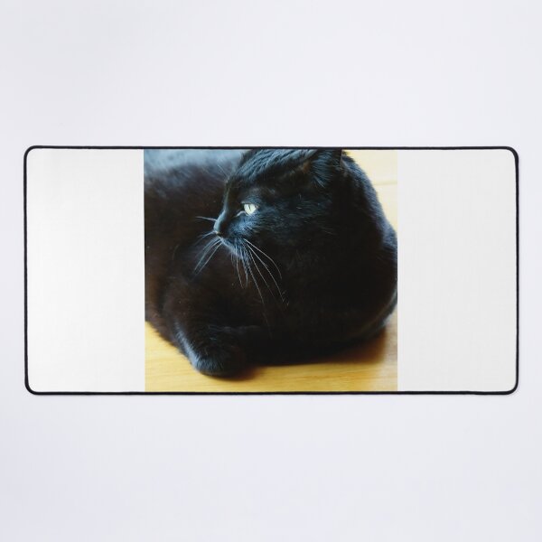 Item preview, Black Cat Lounging Against a Yellow Background designed and sold by Vivar Photo.