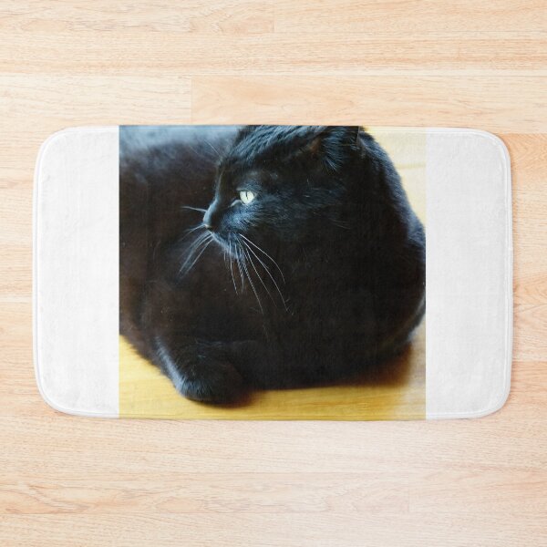 Item preview, Black Cat Lounging Against a Yellow Background designed and sold by Vivar Photo.