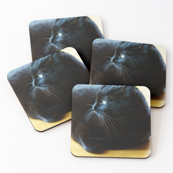 Item preview, Black Cat Lounging Against a Yellow Background designed and sold by Vivar Photo.