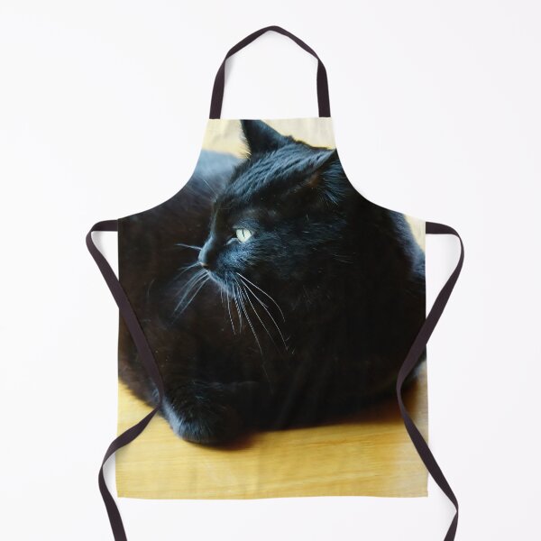 Item preview, Black Cat Lounging Against a Yellow Background designed and sold by Vivar Photo.