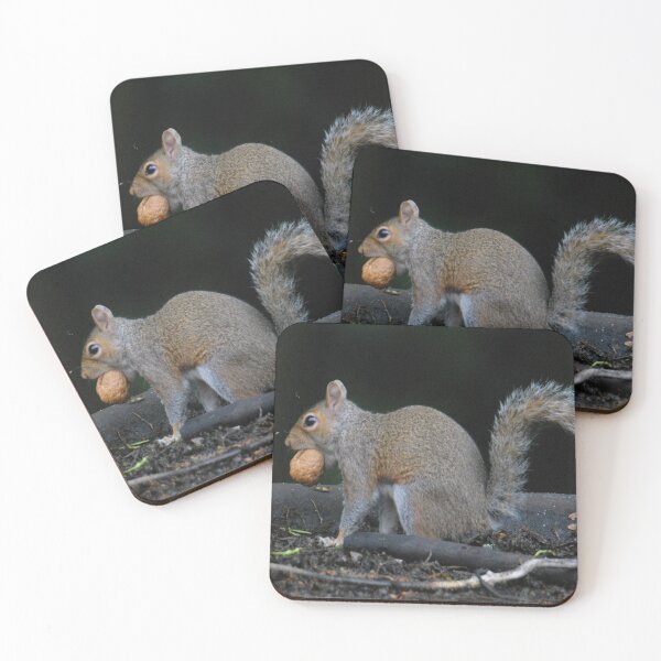 Item preview, Grey squirrel with walnut  designed and sold by LJarts.