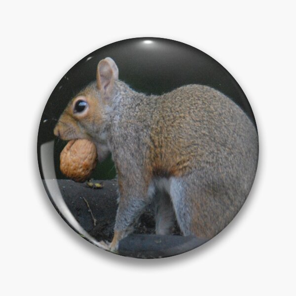 Item preview, Grey squirrel with walnut  designed and sold by LJarts.