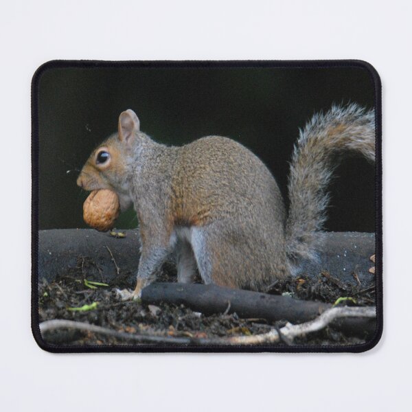 Item preview, Grey squirrel with walnut  designed and sold by LJarts.