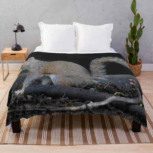 Item preview, Grey squirrel with walnut  designed and sold by LJarts.