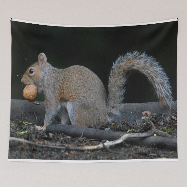 Item preview, Grey squirrel with walnut  designed and sold by LJarts.